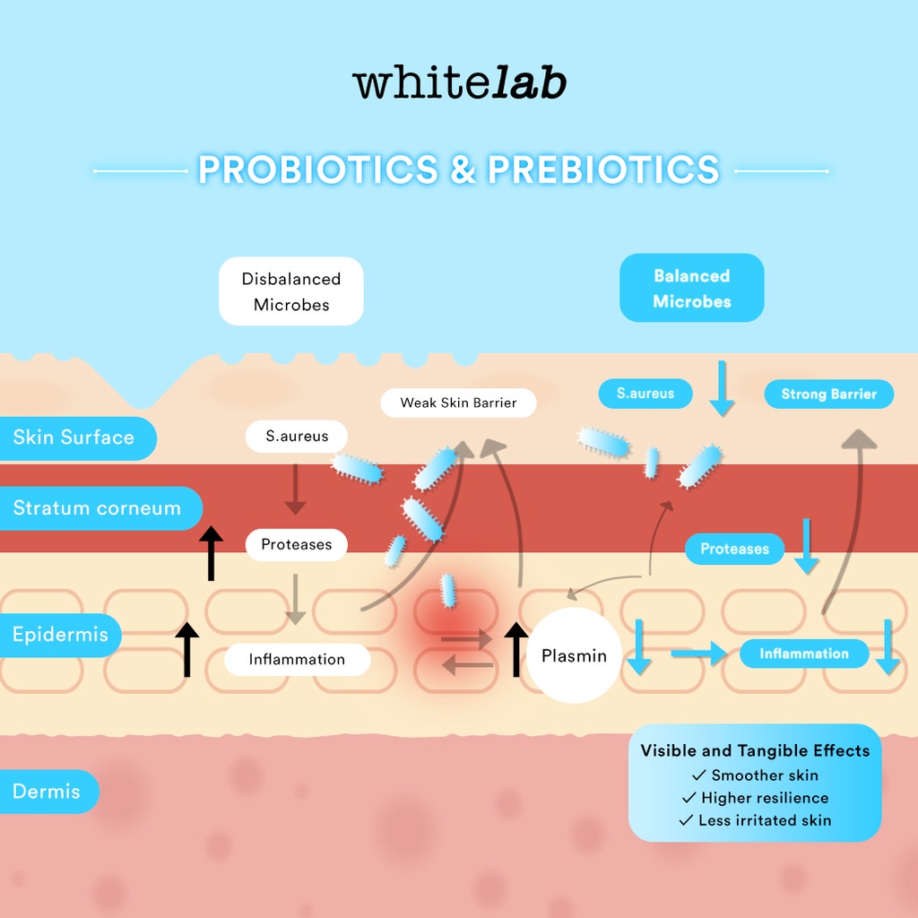 Whitelab Probiome Complex Serum White Lab