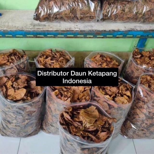 DAUN KETAPANG LAUT OLAHAN KEMASAN 1000 Gram