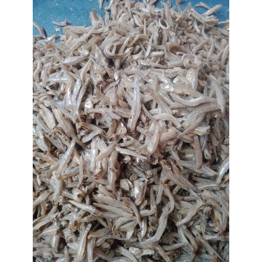 Ikan Teri Kacang/Ikan Teri Jengki [500g] | Shopee Indonesia