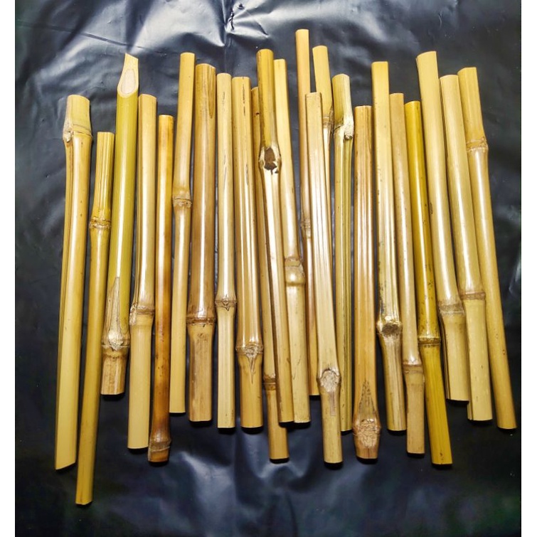 

Bambu Cendani (minimal pembelian 2 batang)