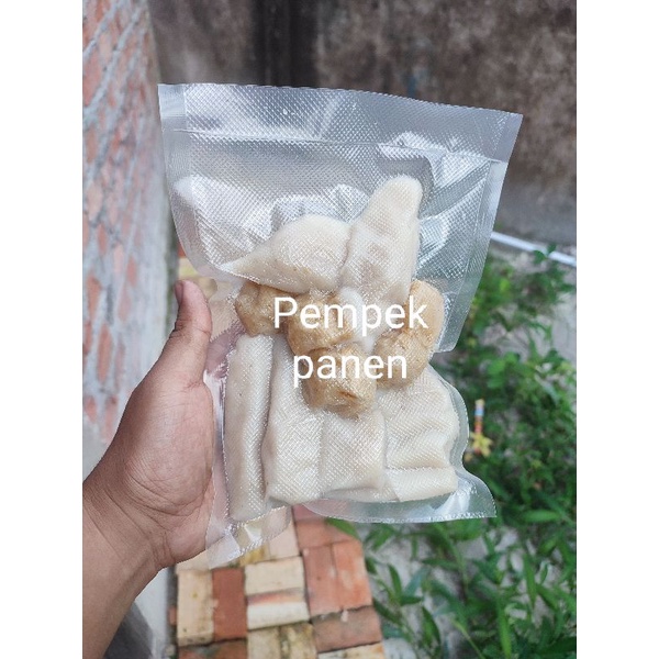 

pempek ikan | paket isi 20 PCS | Pempek panen