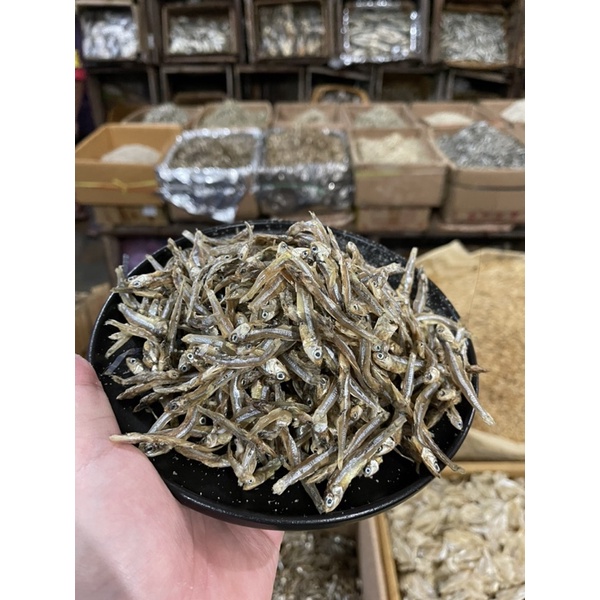 

Ikan Teri Tawar
