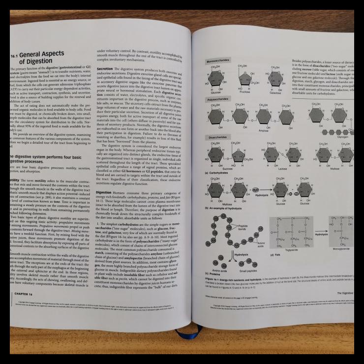 

TERBARUU!! Buku Kedokteran Human Physiology Sherwood 9e COD