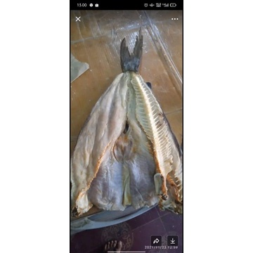 

ikan jambal roti asli 250 gram