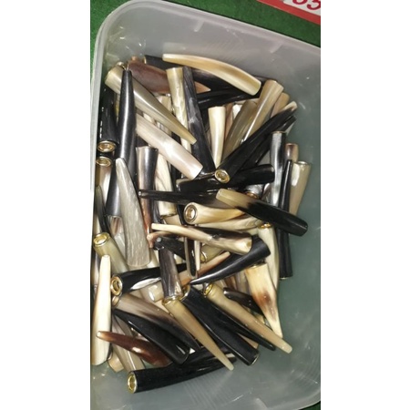 once pipa rokok tanduk kerbau bule