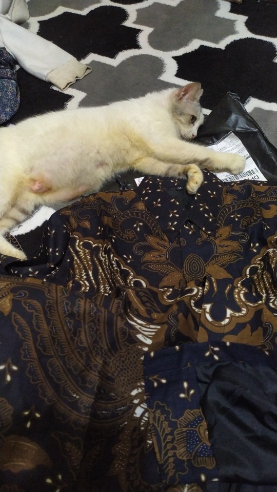 Wirayudha Sogan Kemeja Batik Pria Full Furing Bahan Katun Halus Primisima