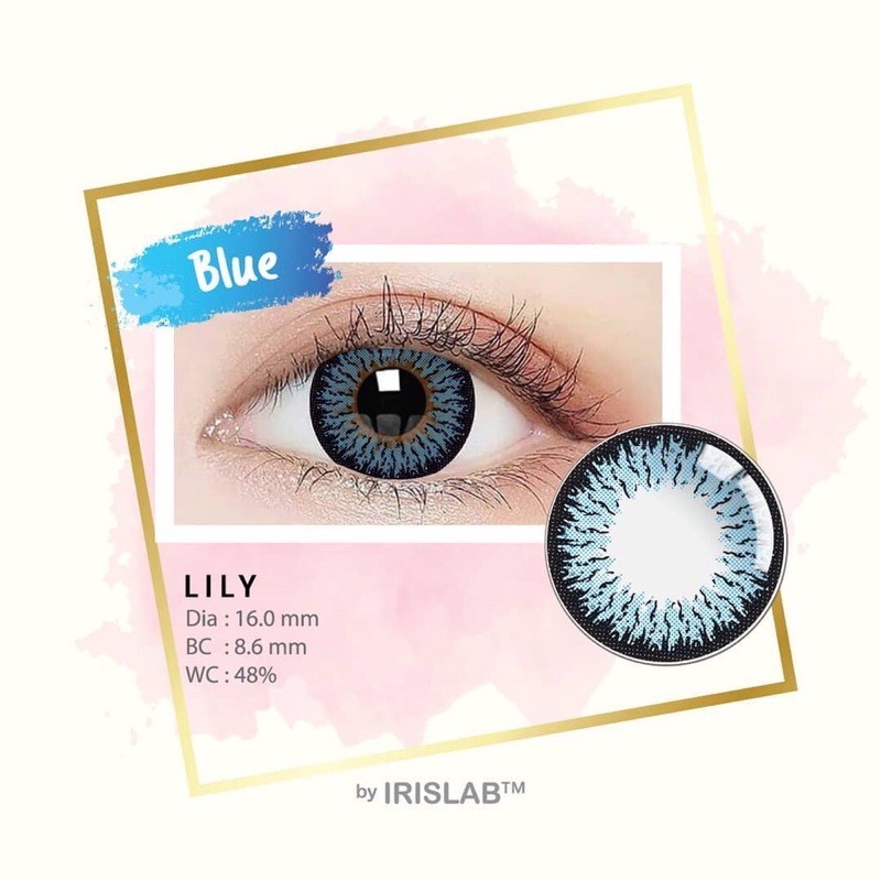 SOFTLENS LILY FREE LENSCASE