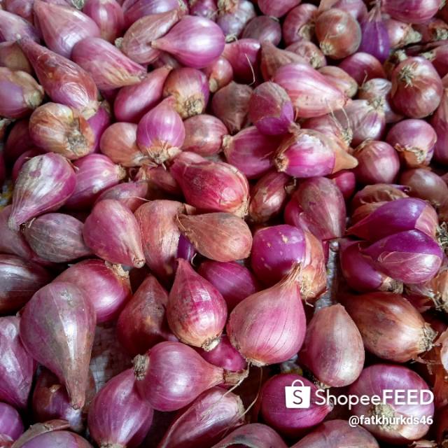 

Bawang merah 500 gram harga Rp 11.500