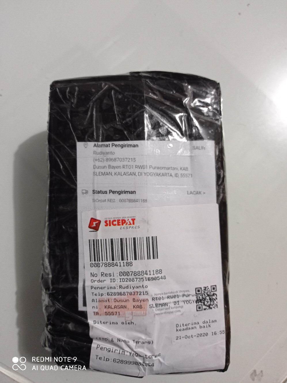 Hormon Variegata Tanaman Monstera Dll