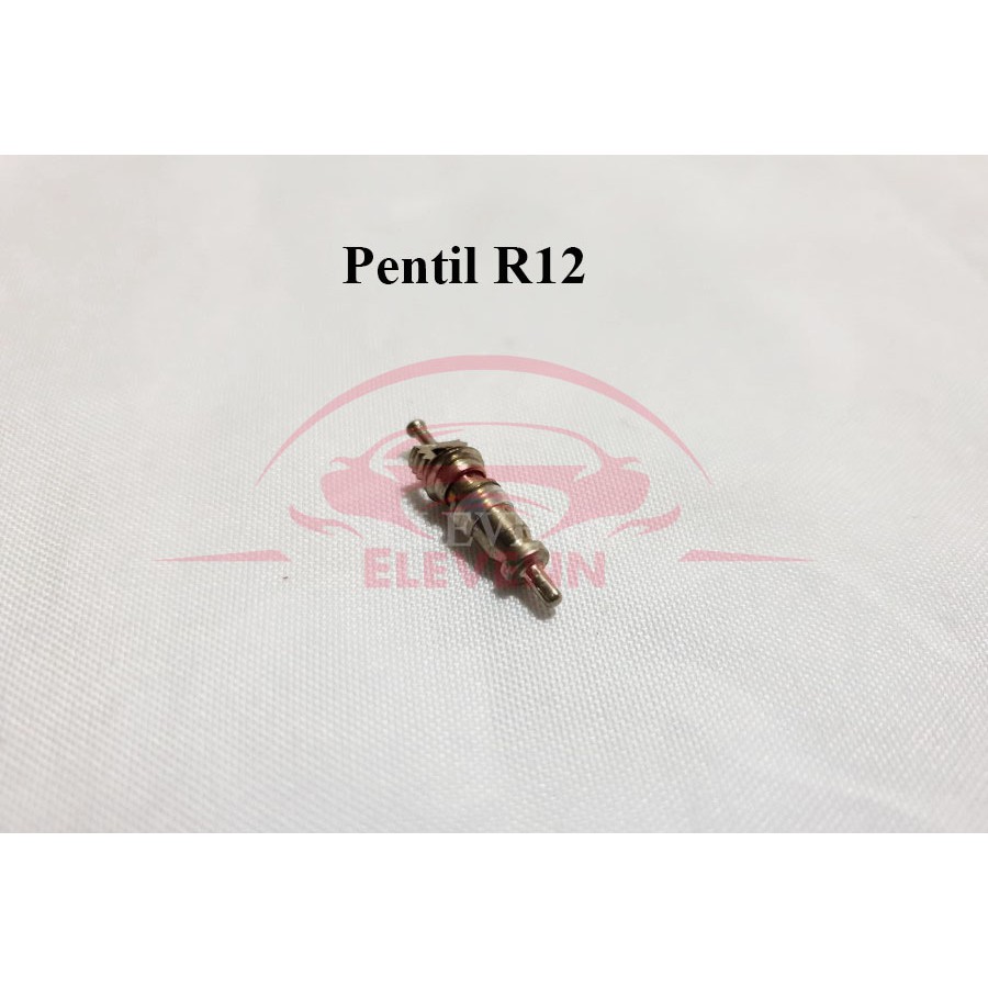 Pentil Freon AC Mobil R12
