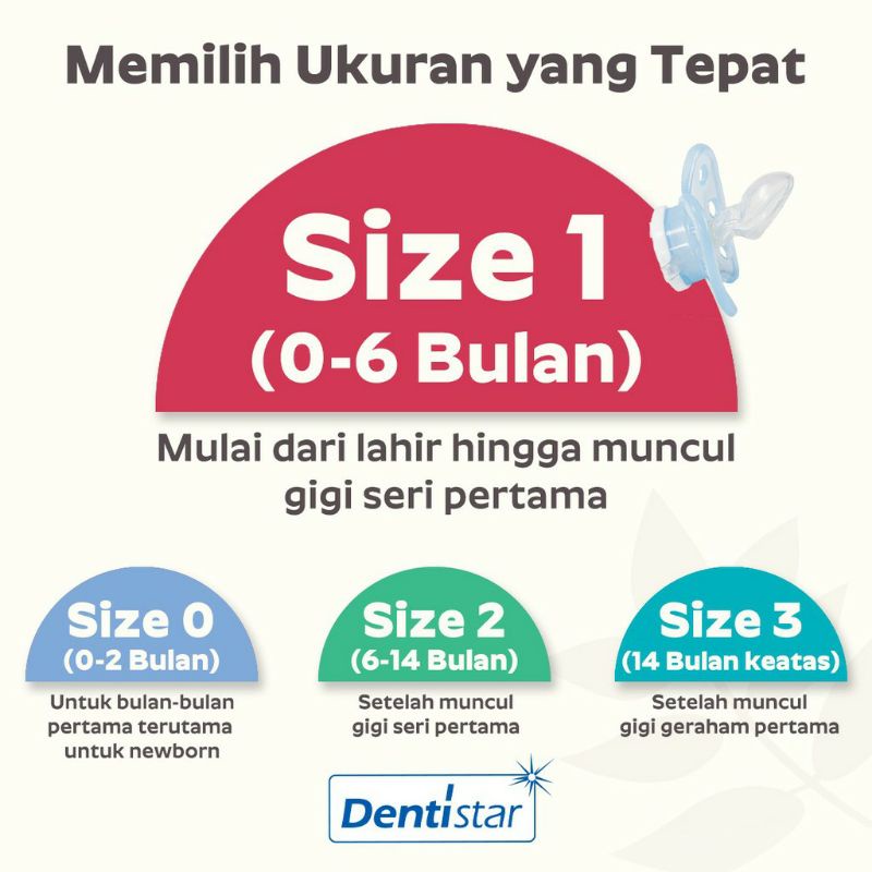 Empeng Dentistar Flat Shield Pacifier