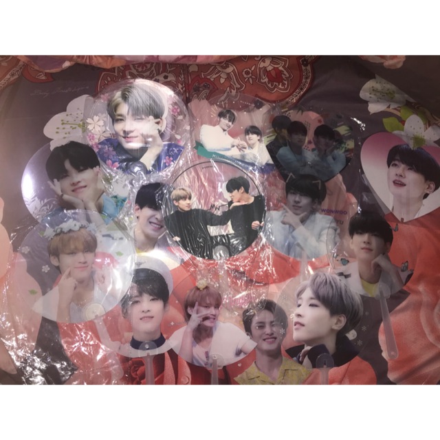 seventeen wonwoo mingyu handfan