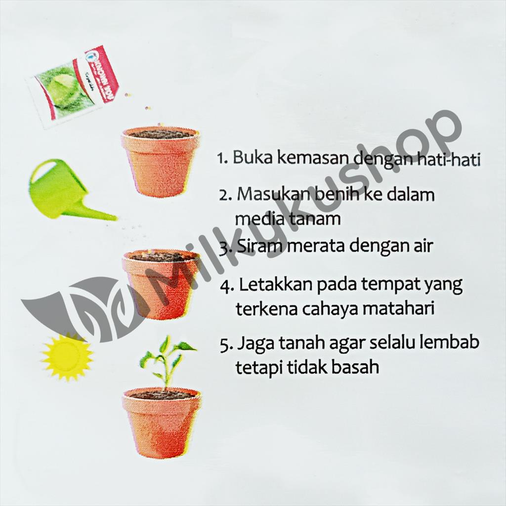 BENIH KYS KNOWN YOU SEED SAWI TA KE CAI 5 GRAM KEMASAN PABRIK