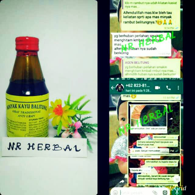 Minyak kayu balitung minyak balitung minyak belitung asli original kalimantan ko