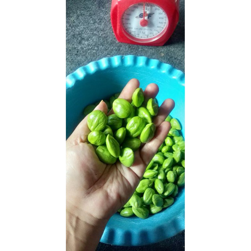 

pet kupas 250 gram