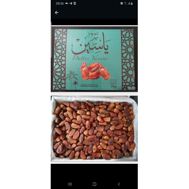 

kurma tunisia madu grosir