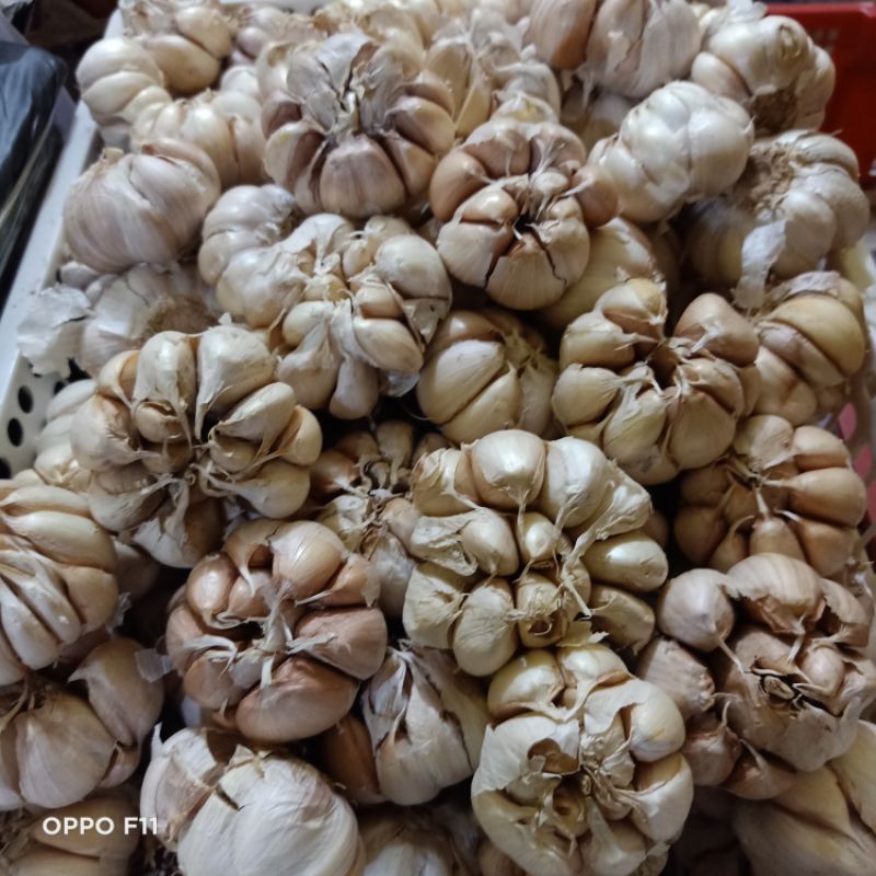 

bawang putih super honan 1kg