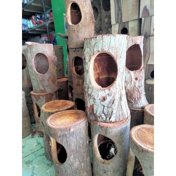 Glodok ternak burung/rumah pohon untuk ternak burung murai Kacer dll