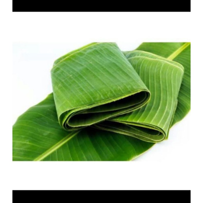 

daun pisang solo