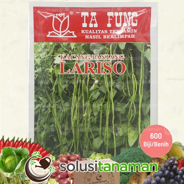 LAGI VIRAALL Benih Kacang Panjang Lariso 100 gr - 600 Biji - Benih Sayuran Biji Bibit Sayur Tanam