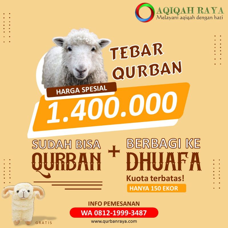 

Domba Tebar Qurban