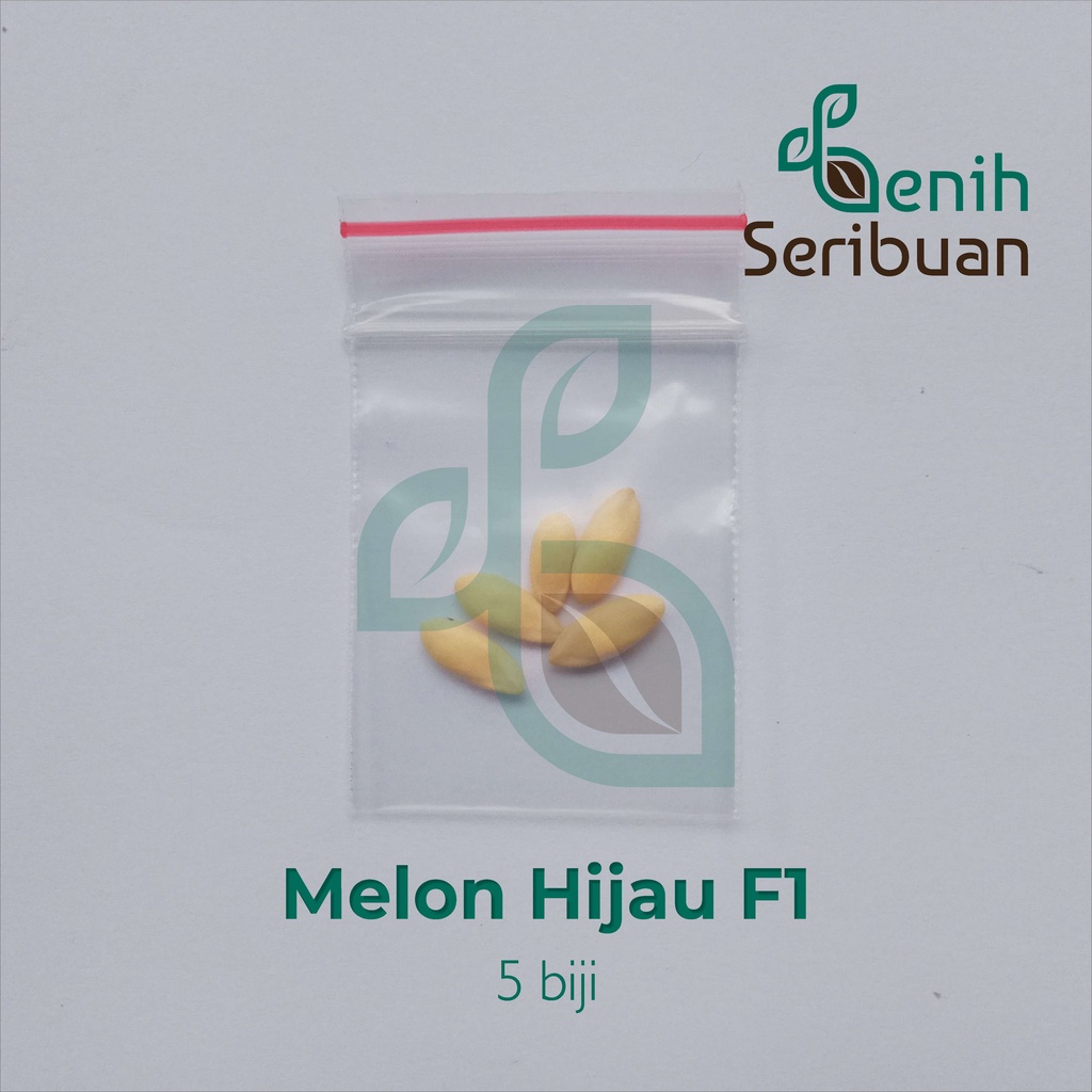 5 Benih Melon Hijau F1 Hibrida Melani Bibit Tanaman Buah Melon Putih Berjaring Daging Tebal Unggul