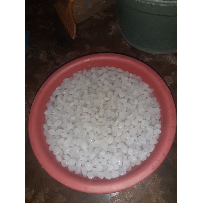 

buah atap kolang kalung