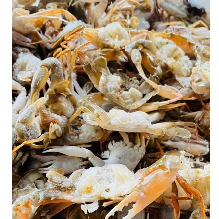 

Ay00! Baby Crab Mentah Kepiting mini Frozen Kualitas Super