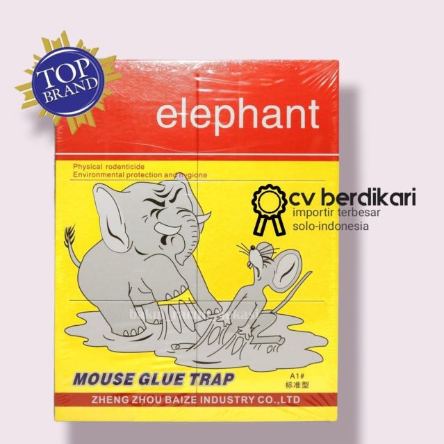 

LEM TIKUS PAPAN ELEPHANT