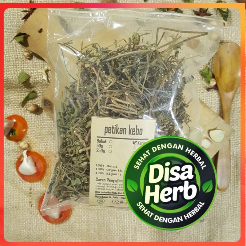 

PETIKAN KEBO KERING 50 Gram - Euphorbia Hirta - MURNI - JSR - REMPAH