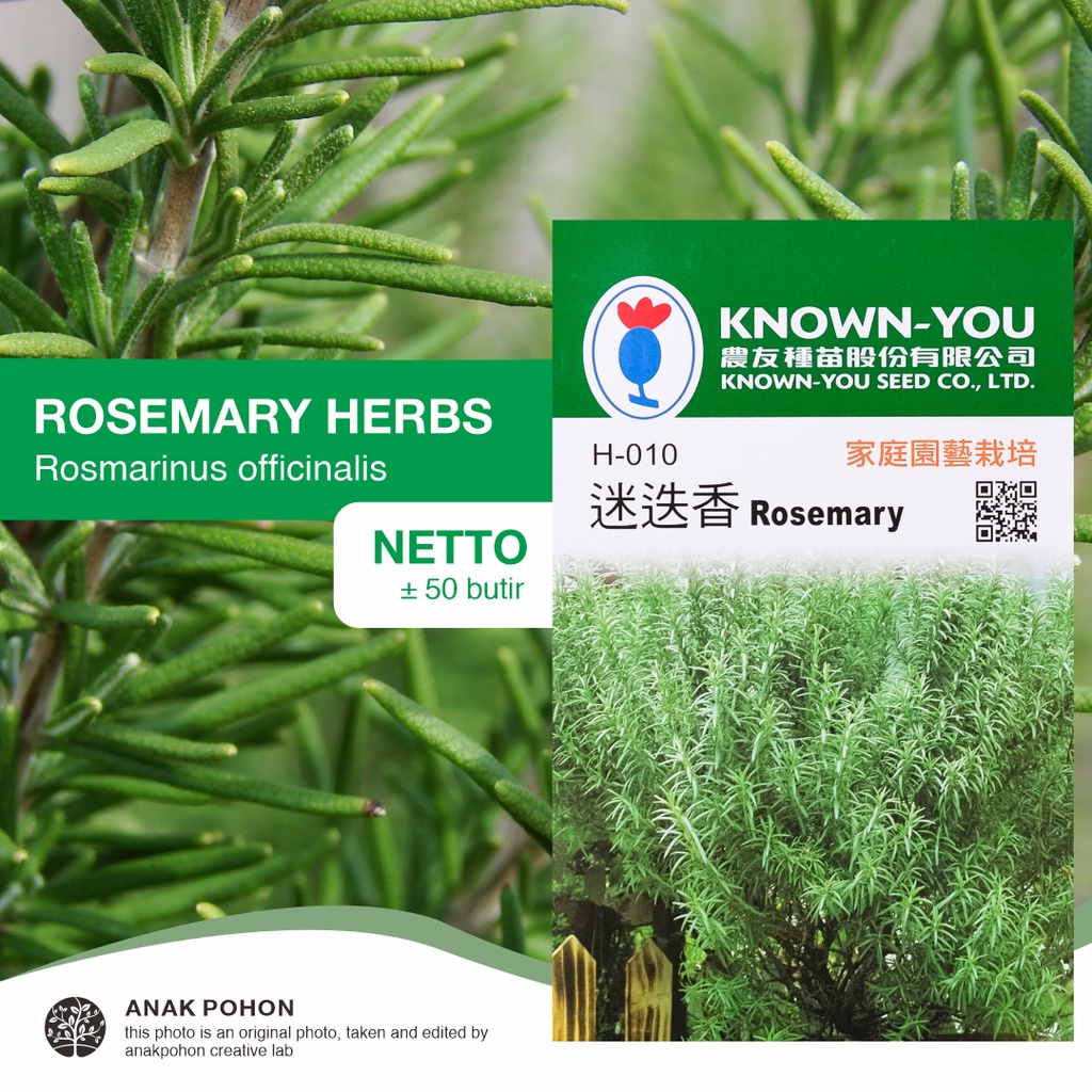 (1 PACK) Benih Rosemary Herb Seeds - Known You Seed KYS - 50 SEEDS