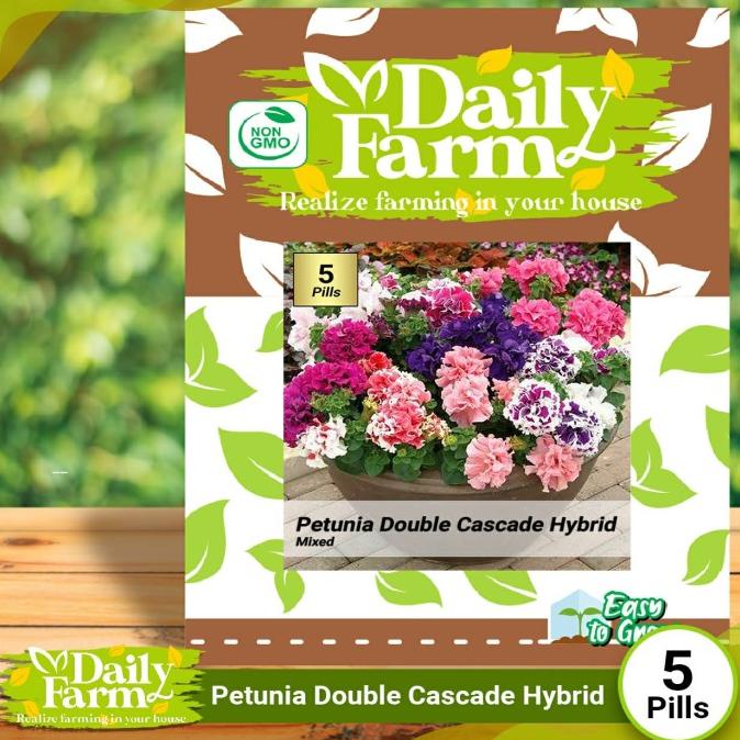 Benih Bunga Petunia Double Cascade Hybrid Mix - Daily Farm