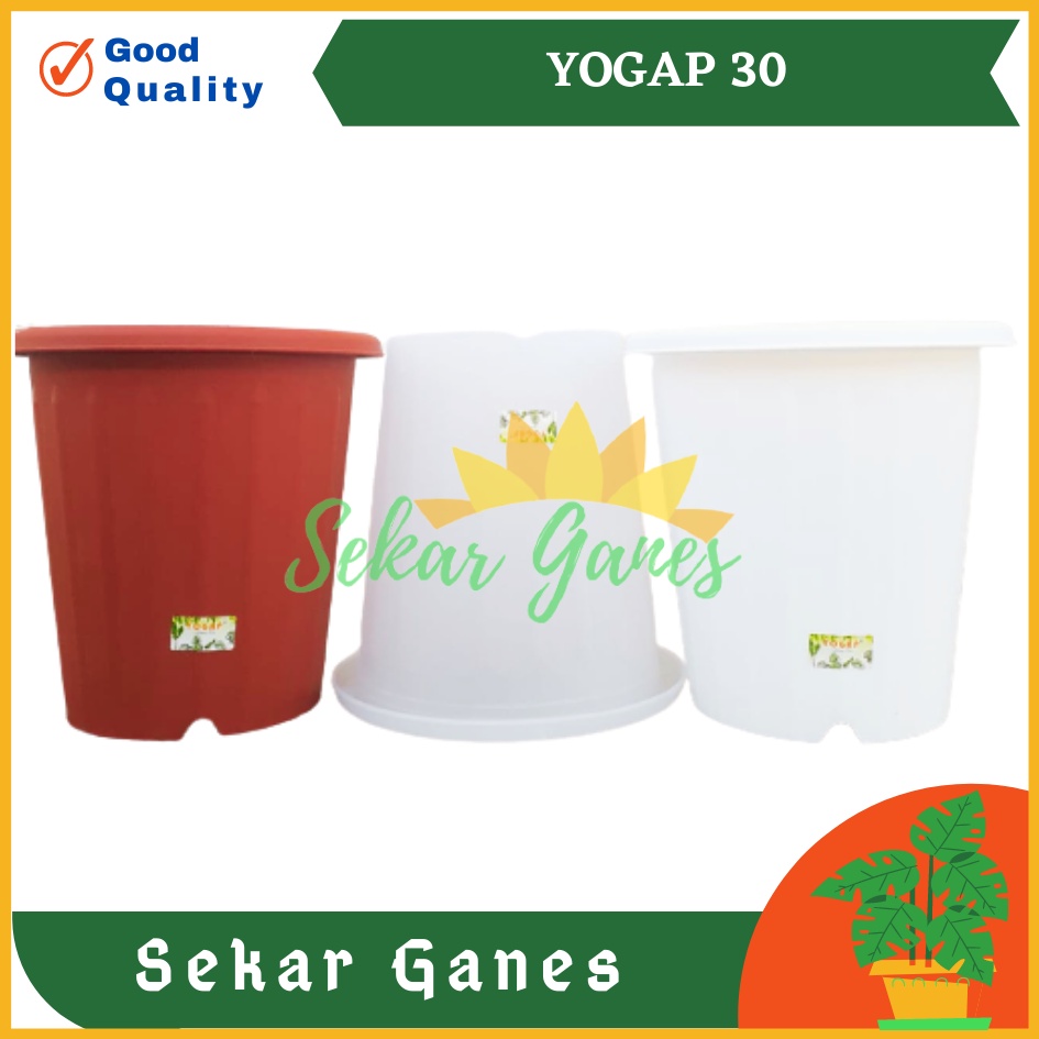 Sekarganes Pot Yogap 30 Putih Transparan Bening Merah Bata Pot Yogap Yoga Uk Mirip Pot Tawon Pirus 27 30 35