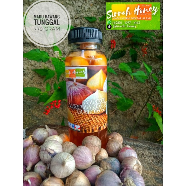 

Madu Bawang Putih Tunggal