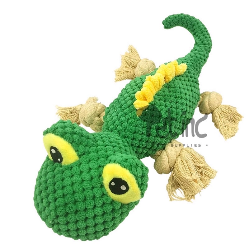 Premium Leo lizard squeaky toy with chewing rope big size