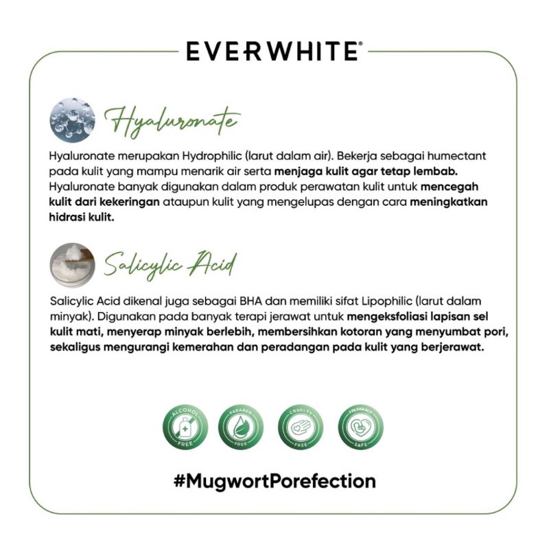 Everwhite Mugwort Pore Clay Mask