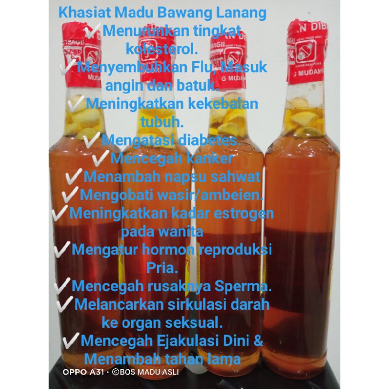 

MADU COKLAT BAWANG LANANG