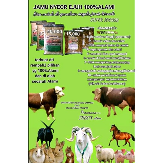

JAMU KUDA SETENGAH PAKET 1+1