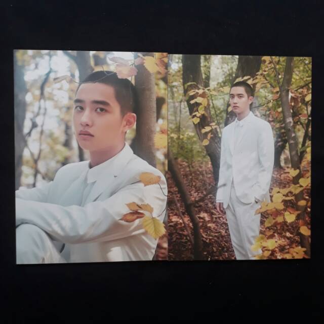 official DO /kyungsoo postcard from elyxion book set