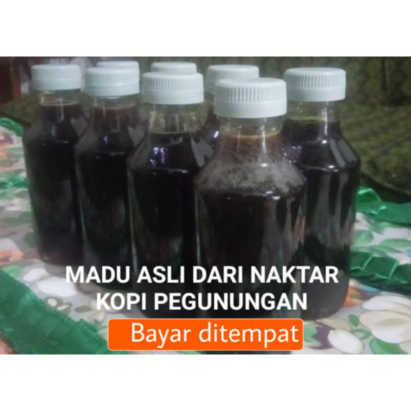 

Madu asli dari Naktar kopi pegunungan / madu murni
