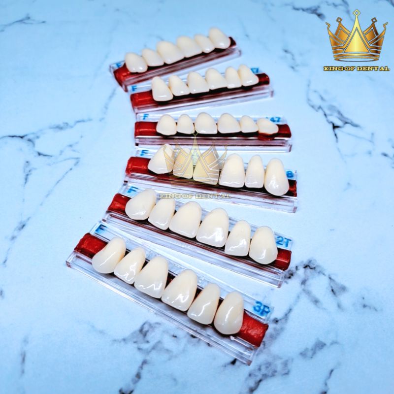 Italdent Gigi palsu Depan atas Warna F anterior upper