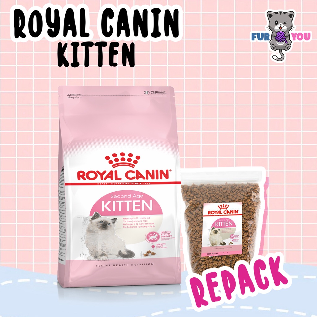 Dryfood Royal Canin Kitten Repack