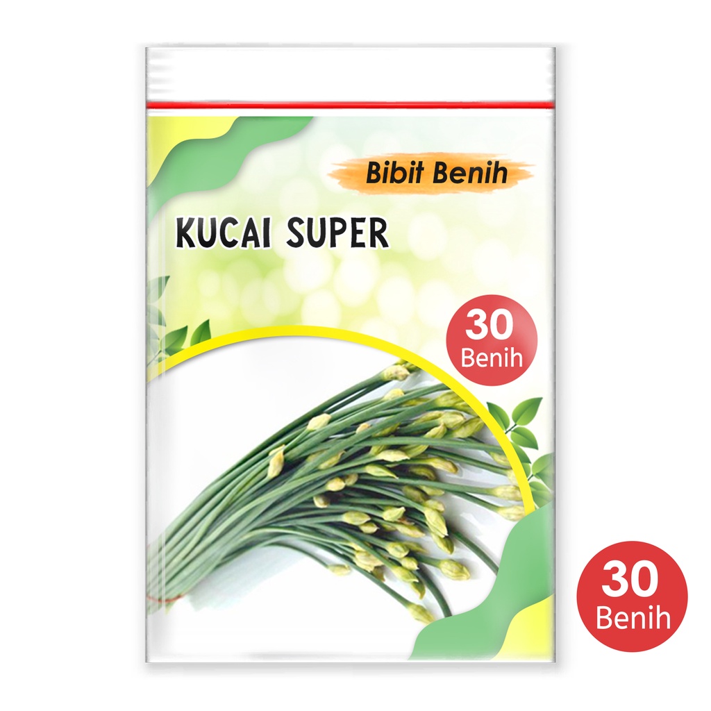 Benih kucai super 30 biji bibit kucai benih sayuran