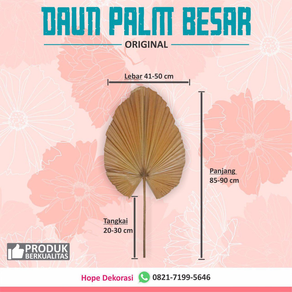 10 PCS DAUN  PALEM PALM KERING UKURAN BESAR DEKORASI  