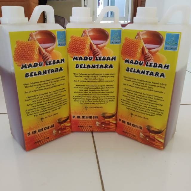 

Madu Lebah Asli