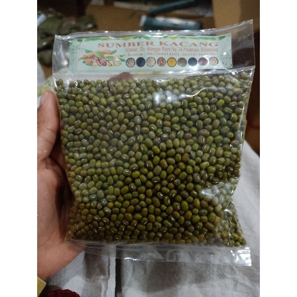 

kacang hijau