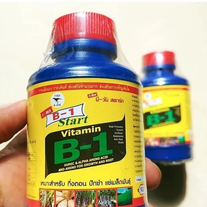 pupuk tanaman vitamin B1 Thailand 100ml