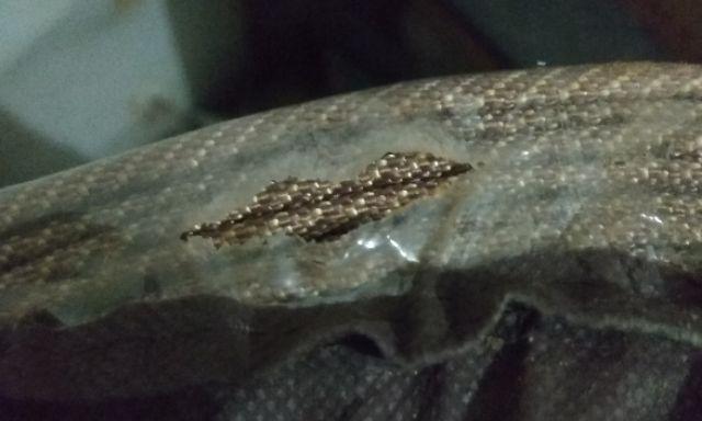 Tikar Bambu /tatami Bamboo( Lampit Bambu )