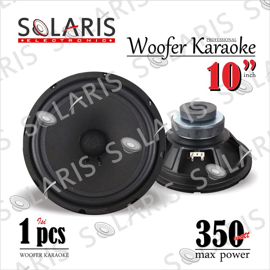 WOOFER 10 Inch KARAOKE Model BMB