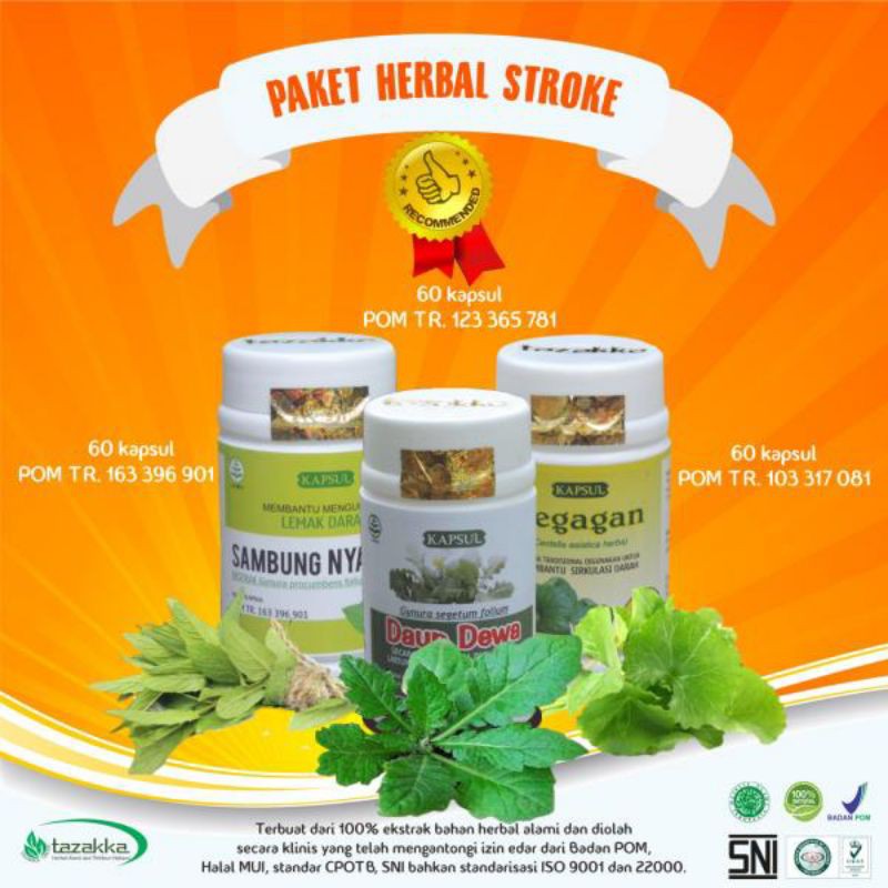 TOKO OBAT HERBAL STROKE DIABETES ASLI 100% AMPUH MUJARAB | JAMU HERBALIFE